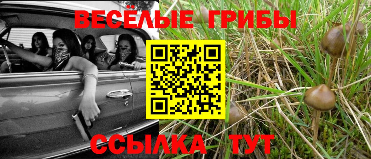 Псилоцибиновые грибы MAGIC MUSHROOMS  Вход с VPN  дарнет шоп  Новозыбков 